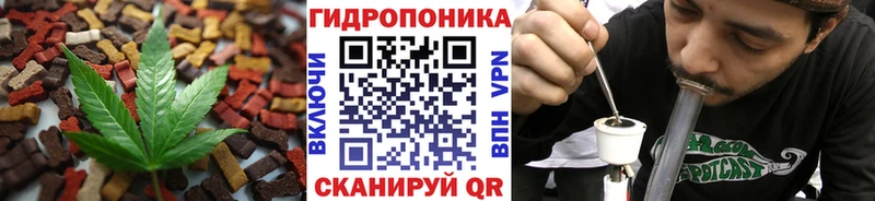 ссылка на мегу онион  Дербент  Canna-Cookies марихуана  цена  