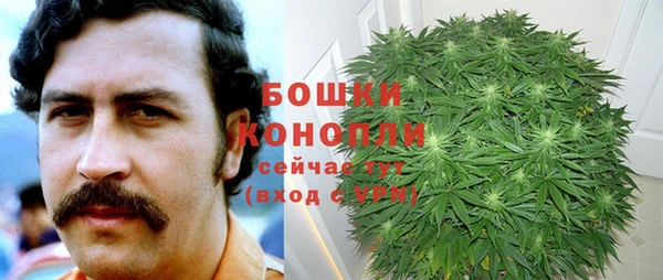 стафф Бородино