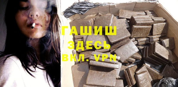 стафф Бородино