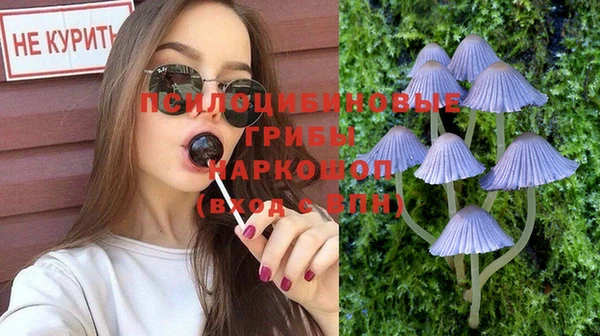 крисы Верея