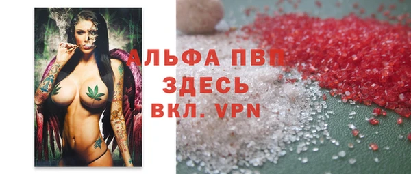 стафф Бородино