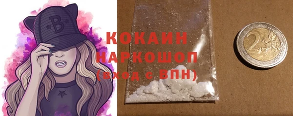 стафф Бородино