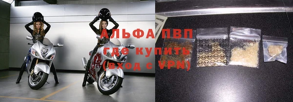 стафф Бородино
