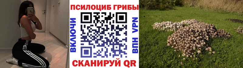 Галлюциногенные грибы Cubensis Дербент